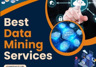 data_mining_services