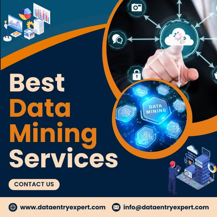 Outsource Data Mining Services at Affordable Prices