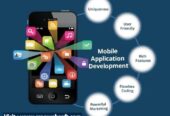 Best Web Development Company Near You in Hyderabad | SREE WEB SOFT