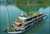 Vietnam Tour Package from Kolkata – A Journey into Timeless Beauty
