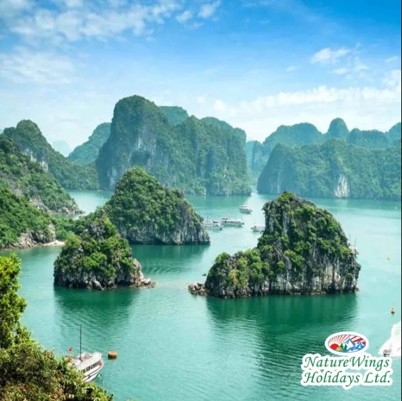 Vietnam Tour Package from Kolkata – A Journey into Timeless Beauty