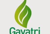 Gayatri Psyllium Industries – India’s Leading Producer of Psyllium-Based Solutions