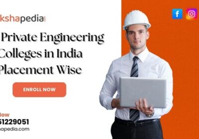 Best-private-engineering-colleges-in-India-placement-wise
