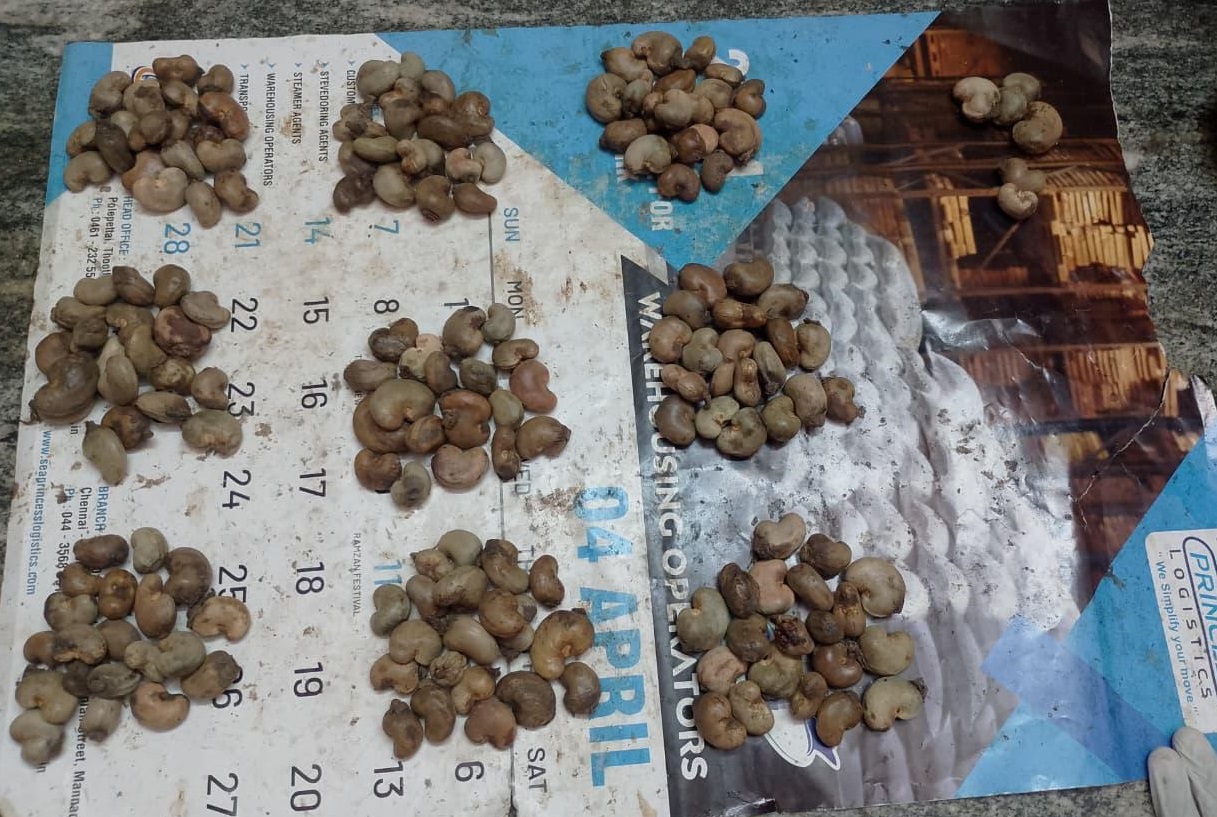 CHANDIGARH HOSHIARPUR WHOLESALER IN RAW CASHEW NUTS-PraDi