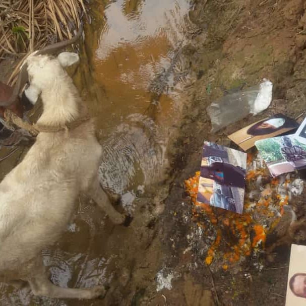 The best powerful spiritual herbalist and native doctor in Nigeria+2348075710213