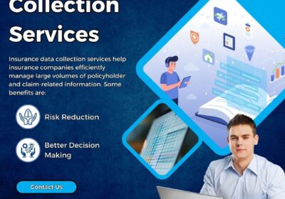 Insurance-Data-Collection-Services