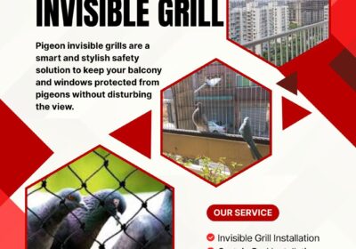 Pigeon-invisible-grill29.jpg