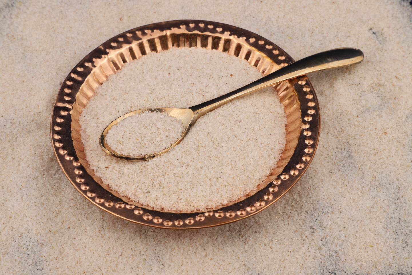 Gayatri Psyllium Industries – India’s Leading Producer of Psyllium-Based Solutions