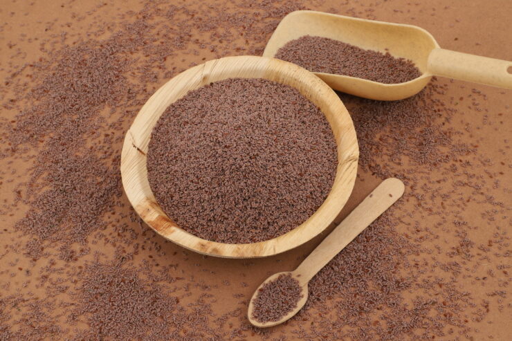Gayatri Psyllium Industries – India’s Leading Producer of Psyllium-Based Solutions