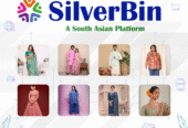 SilverBin-A South Asian Platform