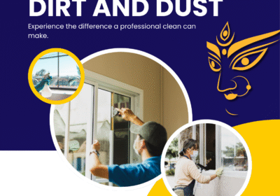 professional-cleaning