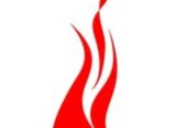 Leading Software & IT Service Providers in India – Mindfire Solutions