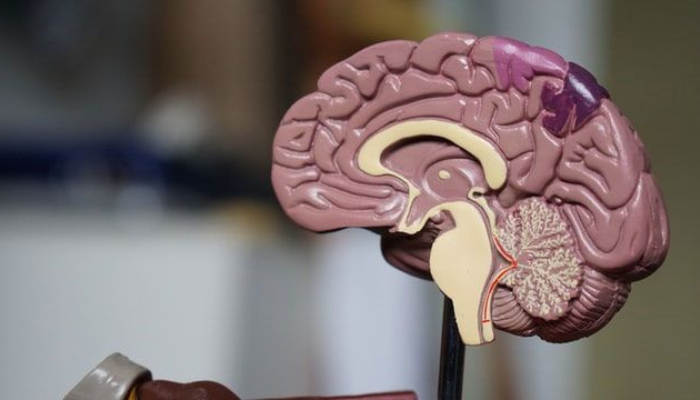 best doctor for epilepsy surgery in Mumbai | Dr Keval Shukla