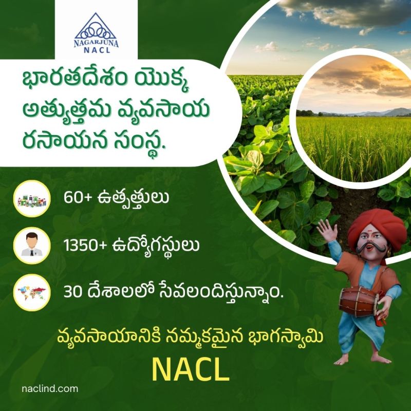 NACL Industries – Trusted Insecticide Manufacturer in India