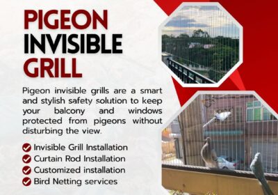 Pigeon-invisible-grill10.JPG