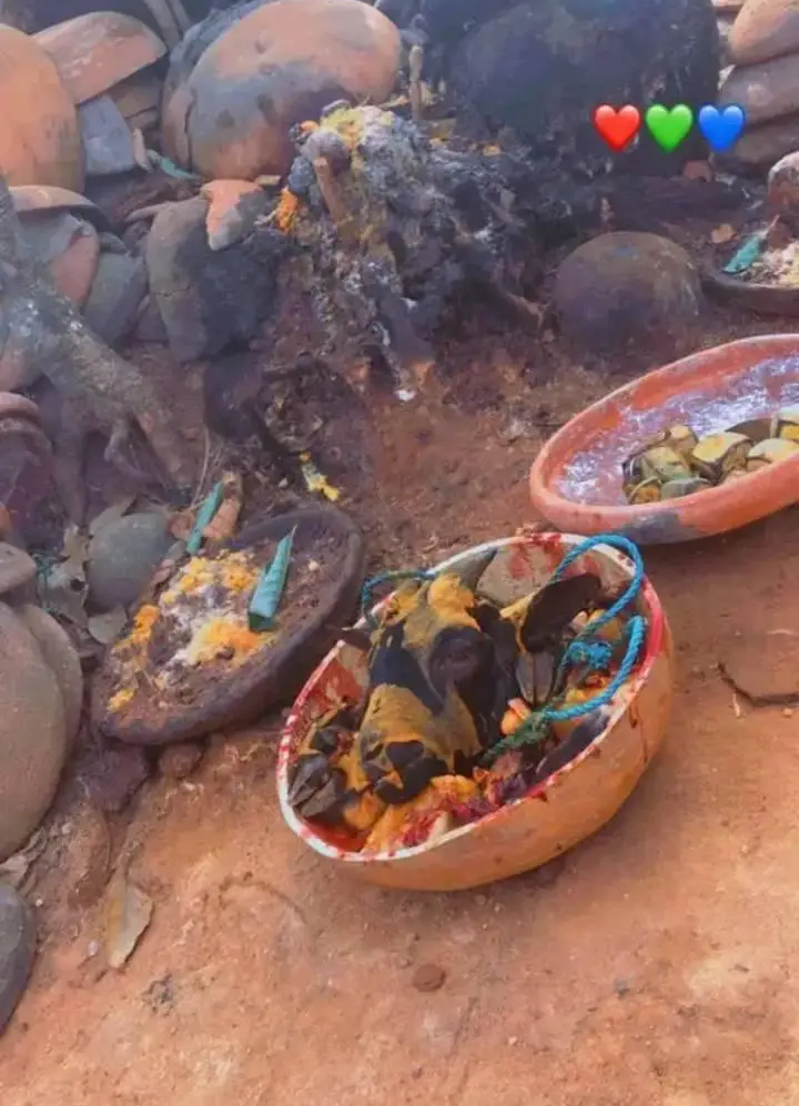 The best powerful spiritual herbalist and native doctor in Nigeria