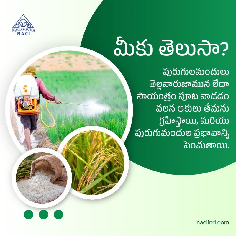 NACL Industries – Trusted Insecticide Manufacturer in India