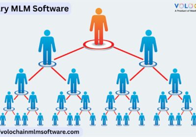 Binary-MLM-Software