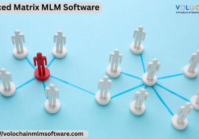 Forced-Matrix-MLM-Software