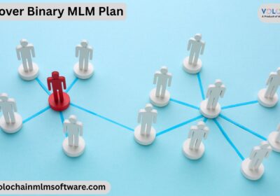 Spillover-Binary-MLM-Plan