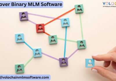 Spillover-Binary-MLM-Software-