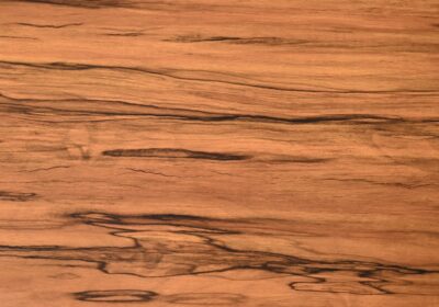 ap-202balineseteak_20_11_25_08_45_06_120505-1