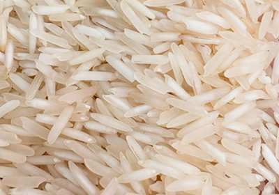 basmatirice_20_11_25_05_58_48_111121-1