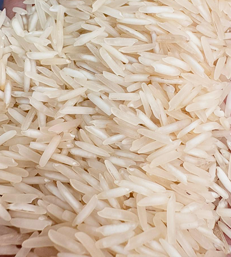 Buy Basmati Rice in Delhi at Best Price | Paramounte Rice