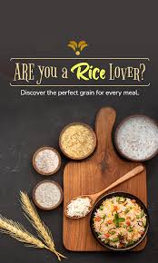 Basmati Rice Supplier in North Delhi | Paramounte Rice