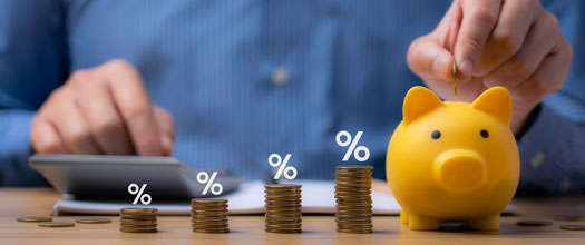 Tax-Saving Capital Gain Bonds: Smart Fixed Income Investment – SafeInvest