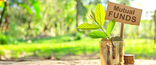 Best Mutual Fund Investment Online – SafeInvest