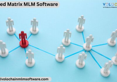 Forced-Matrix-MLM-Software-3